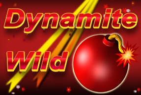 Dynamit wild